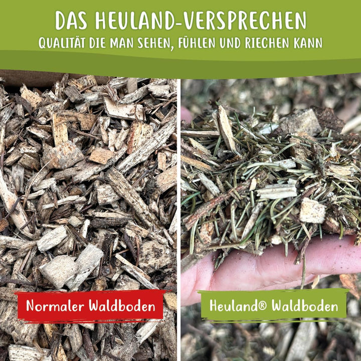 Waldboden-Einstreu 2X 40L – natürliches Einstreu mit Tannen &amp; Fichtennadeln – extrem saugstark &amp; ger