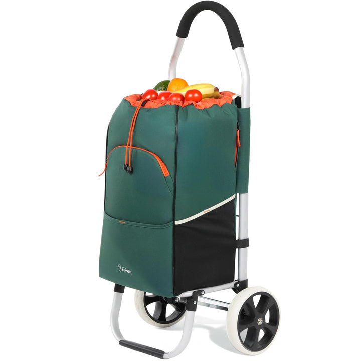 Eskey Boodschappentrolley met koelvak - Waterdicht - Opvouwbare Boodschappenwagen - Grote Wielen (Fo