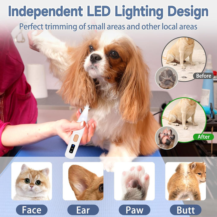 Hundeschermaschine mit LED-Licht, Pfotentrimmer für Hunde, USB Wiederaufladbarer Hund Pfoten Trimmer