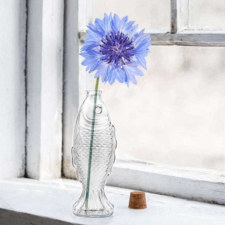 Homoyoyo 2Pcs Klare Fischförmige Fischblume Flasche Fisch Fischglasfischflasche Vase: Glasblume
