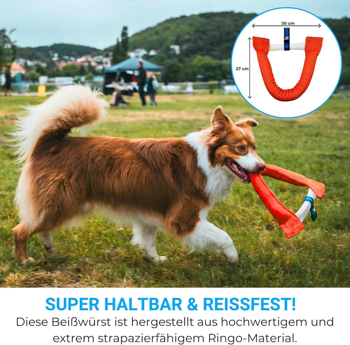 Bull Fit Hufeisen Beisswurst für Hunde 30 cm, Sehr Robustes Hundespielzeug zum Training, Tauziehen u