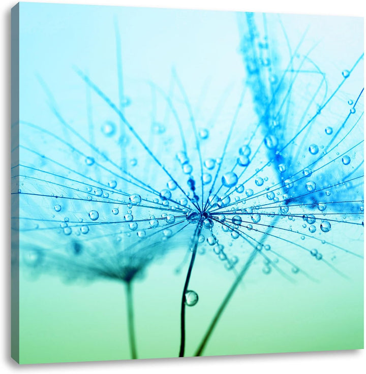 Pixxprint Pusteblume bedeckt mit Tropfen, Format: 70x70 auf Leinwand, 70x70