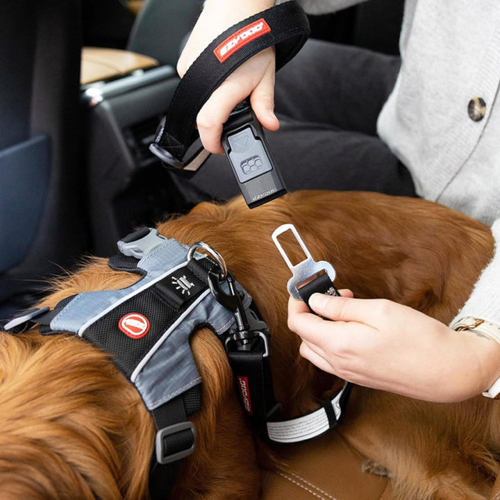 EZYDOG - Click Seat Belt Leash Add-On - (605.0748) Drive Click Lead, Drive Click Lead