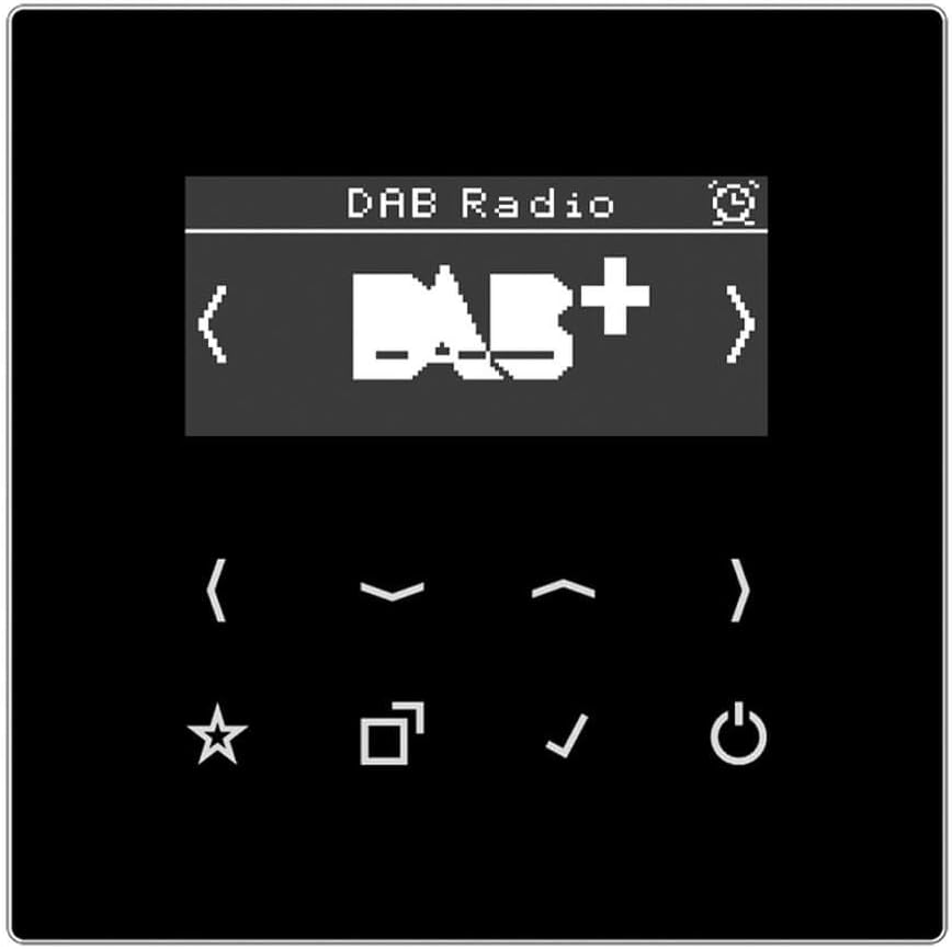 Smart Radio Daab + Serie LS Schwarz Schwarz (Black), Schwarz (Black)