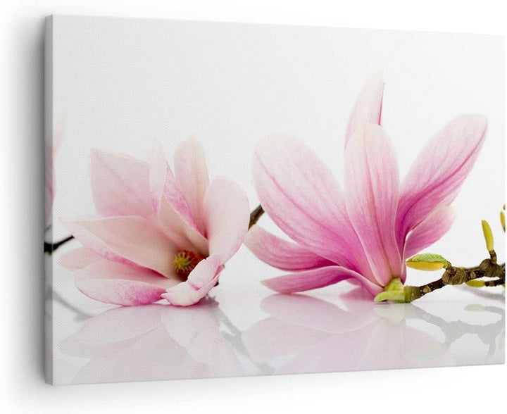 Bilder auf Leinwand Magnolie blume natur pflanze Leinwandbild 70x50cm Wandbilder Dekoration Wohnzimm