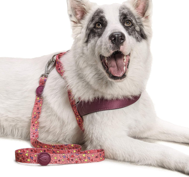 MORSO 7037 Norweger Hundegeschirr, M, M