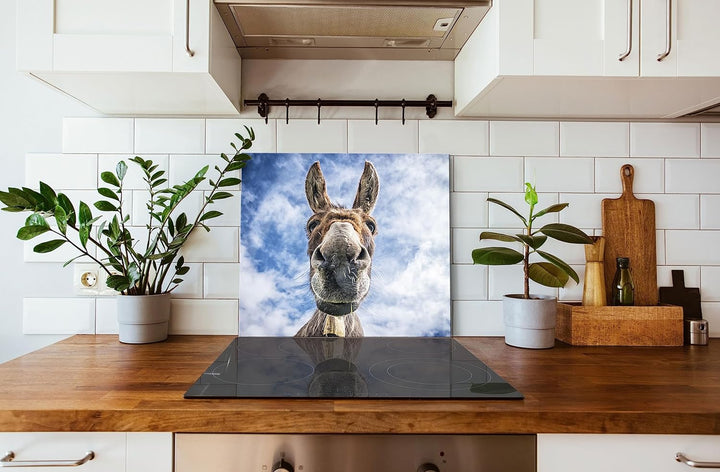 Lustiger Esel Herdabdeckplatte & Spritzschutz aus Echtglas | Für Herd-Kochfelder | 60x52 cm