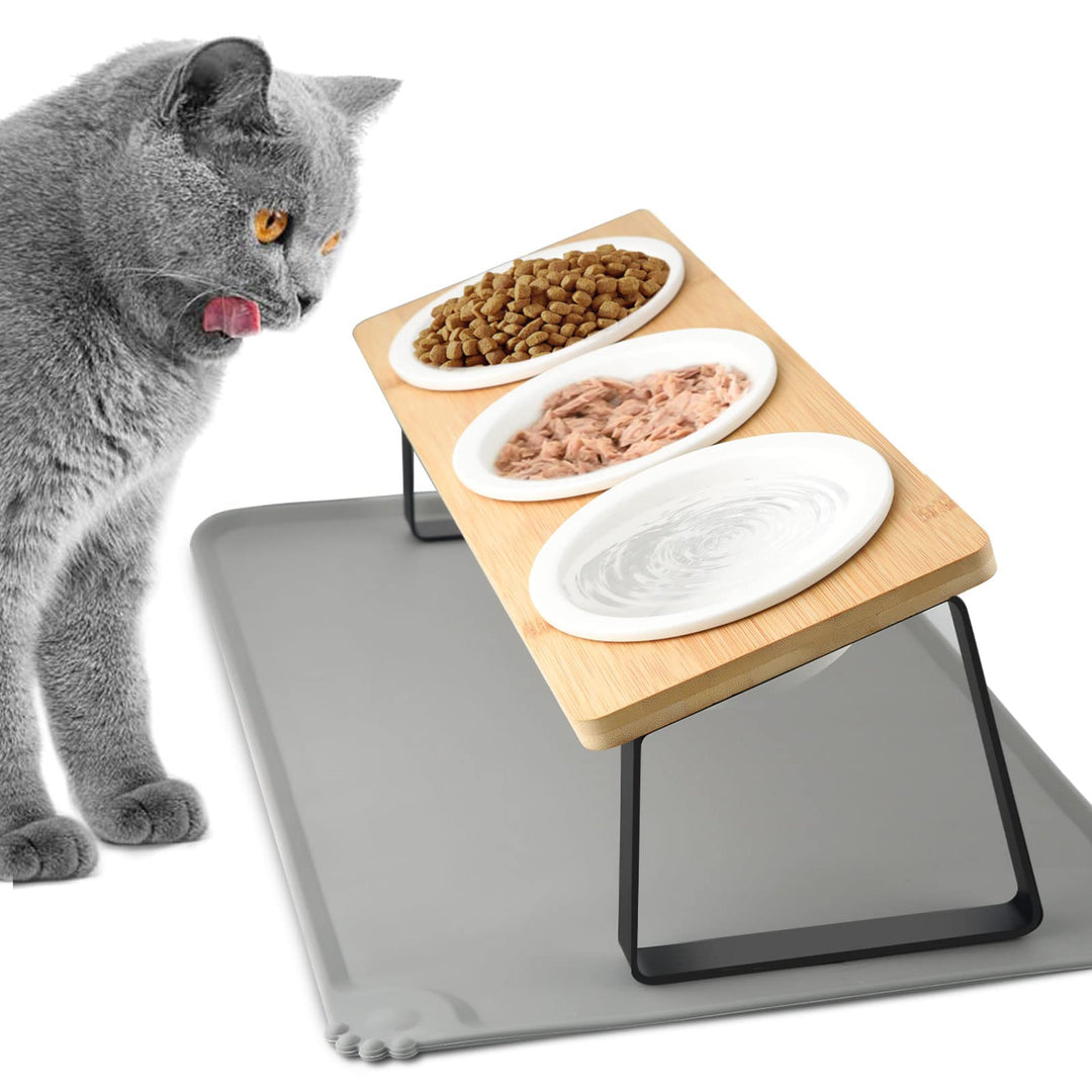 Lannvan Katzennapf Erhöht - 3er Set Futternapf aus Keramik mit Napfunterlage Silikon - 15° gekippte