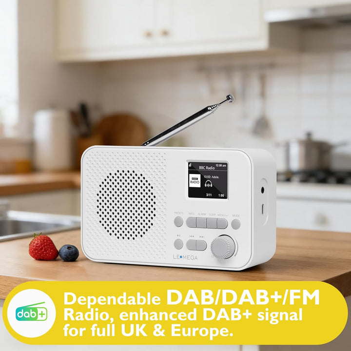 LEMEGA DAB GO Plus Radio (Steingrau, DAB GO) Steingrau DAB GO, Steingrau DAB GO