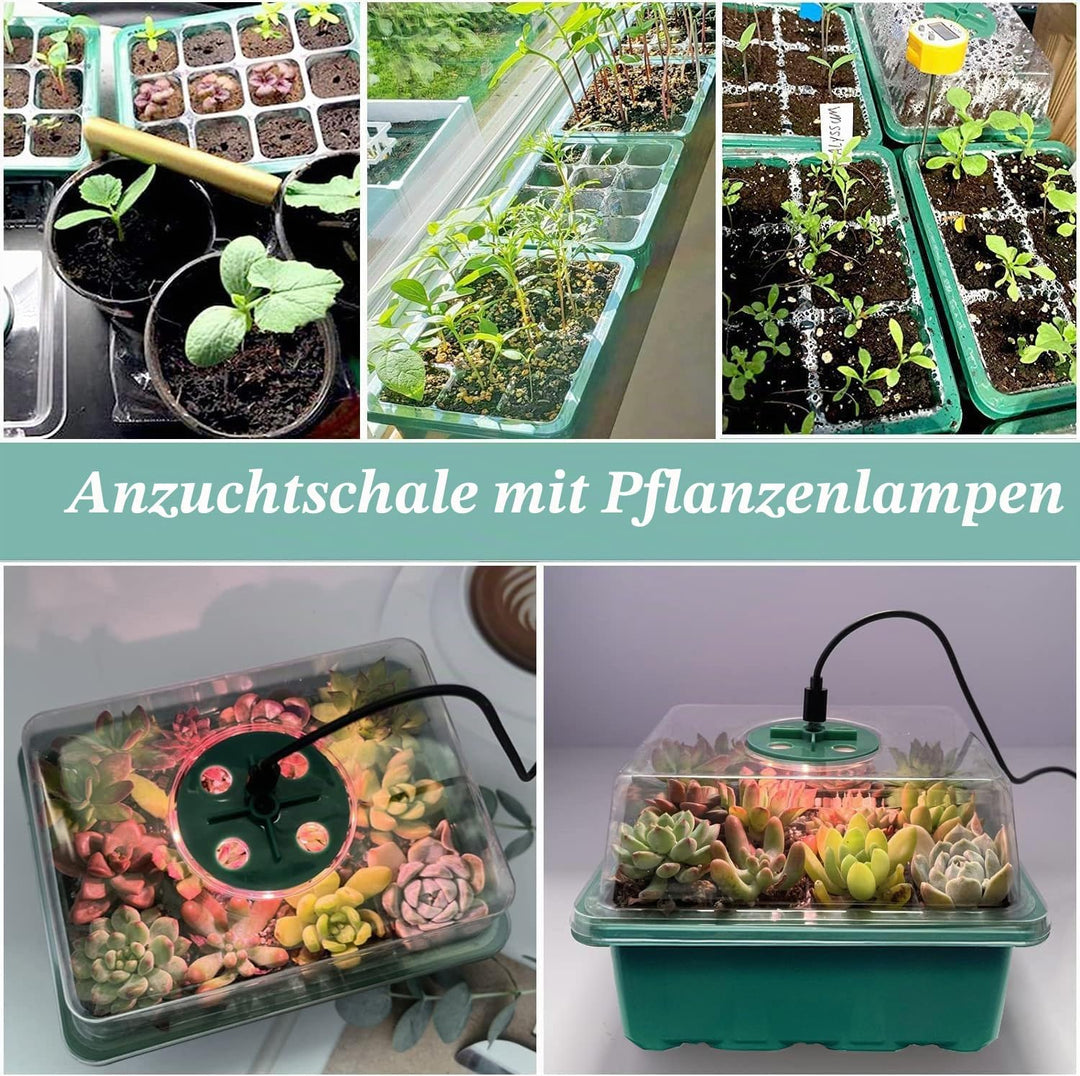 Mini Gewächshaus mit Licht, Anzucht Gewächshaus, Sonnenähnliche Pflanzenlichter mit vollem Spektrum,