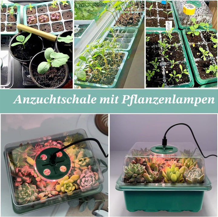 Mini Gewächshaus mit Licht, Anzucht Gewächshaus, Sonnenähnliche Pflanzenlichter mit vollem Spektrum,