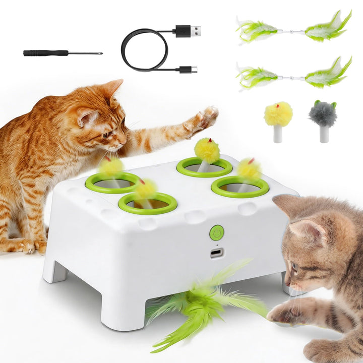 2-in-1 Automatisches Katzenspielzeug, Interaktives Katzenspielzeug, Wiederaufladbares Katzenmaus-Spi