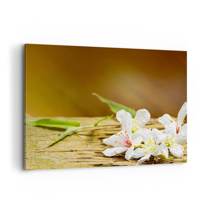 ARTTOR Bilder auf Leinwand 100x70cm Leinwandbild Asien spa bambus blume Gross Wanddeko Bild Schlafzi