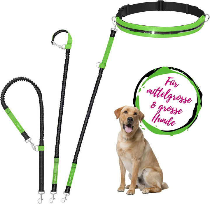 Leisegrün Joggingleine für grosse Hunde | Freihandleine zum Joggen mit Bauchgurt und Ruckdämpfer | L