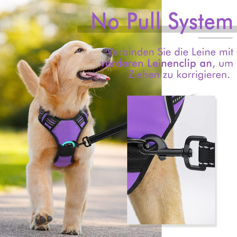 rabbitgoo Hundegeschirr Mittelgrosse Hunde Anti Zug Geschirr Hund mit Kontrolle No Pull Verstellbar