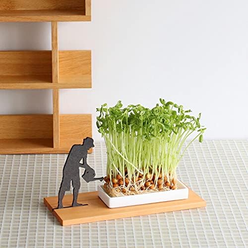 Side by Side - Keksschale, Kresseschale - Plätzchenschale - Gärtner - Holz, Porzellan