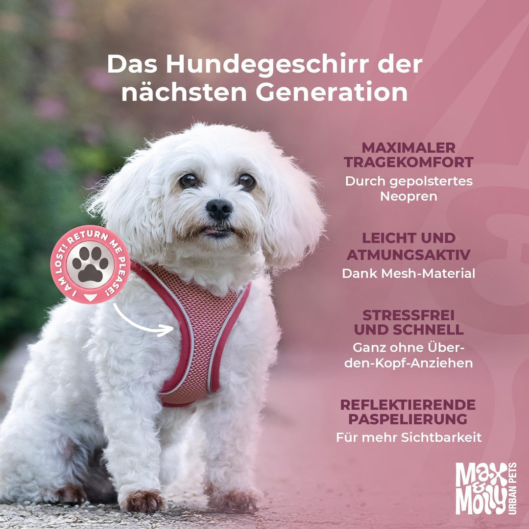 Max &amp; Molly Hundegeschirr Matrix 2.0 Sand/XXS als Air Vest Geschirr, Step-In Geschirr mit Gotcha! Sm