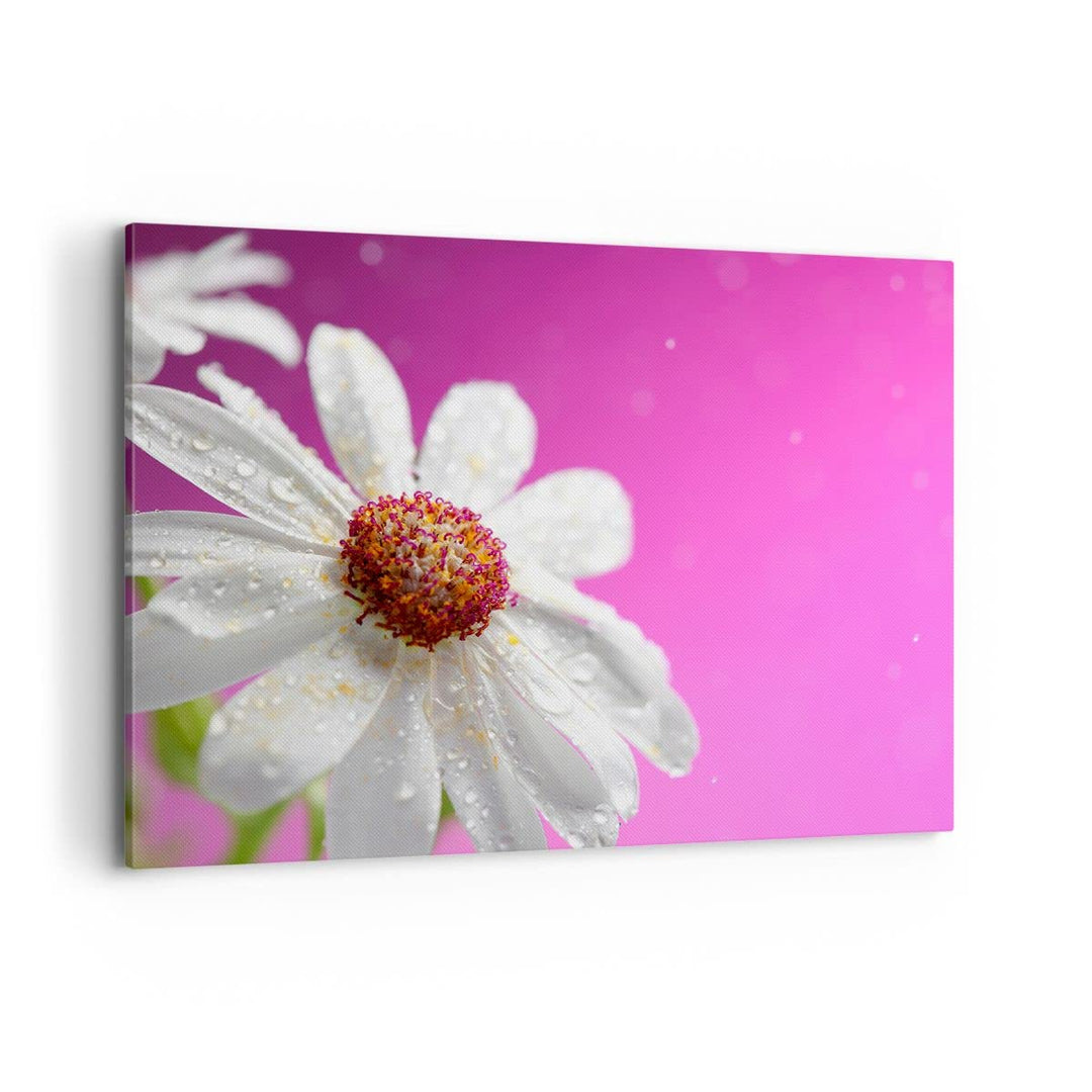 ARTTOR Bilder auf Leinwand 100x70cm Leinwandbild Blume frühling garten Gross Wanddeko Bild Schlafzim