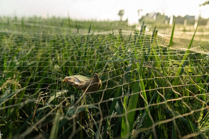 LINSOCLE 15 mx 15 m Vogelschutznetz Schwarz, Vogelnetz Stabil, Netz für Hühnergehege, Volierennetz f