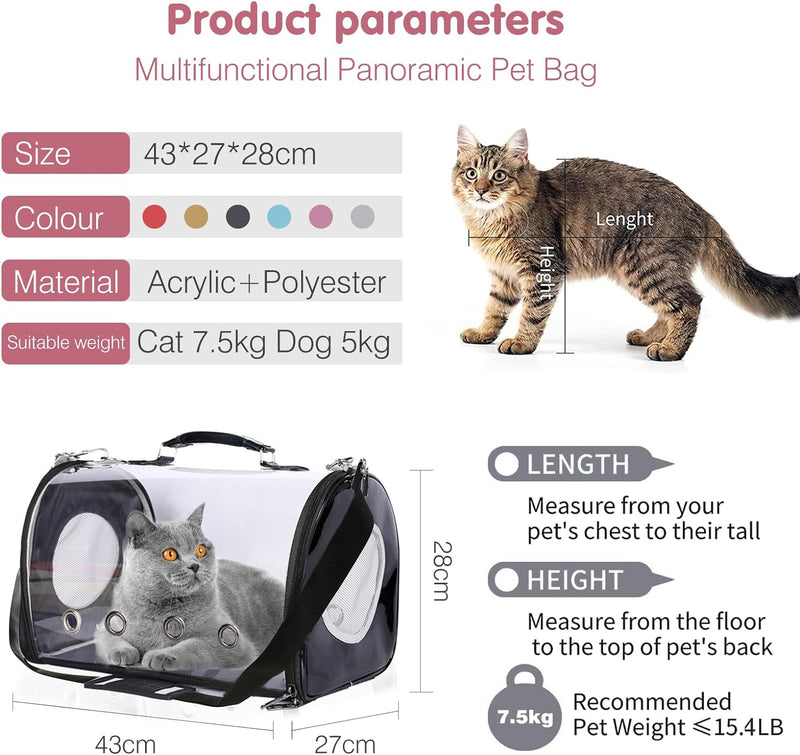 PETCUTE Transporttasche für Hunde & Katzen,Atmungsaktive Transparent Katzentasche Katzentransportbox