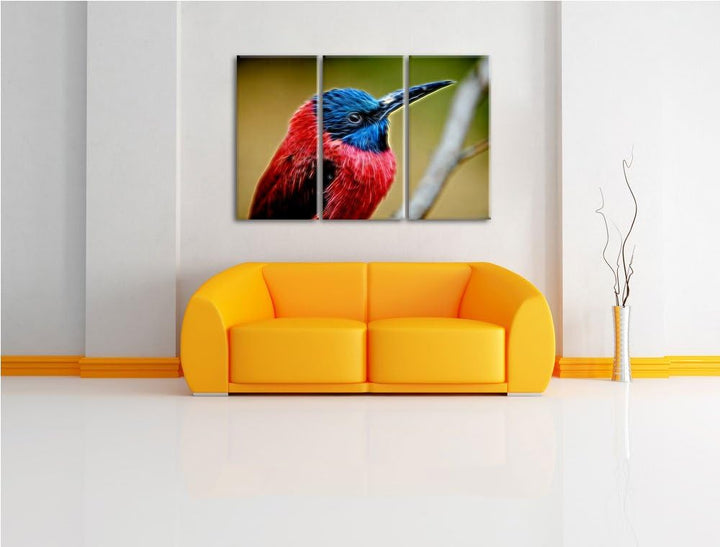 kleiner tropischer Vogel Spezial 3-Teiler Leinwandbild 120x80 Bild auf Leinwand, XXL riesige Bilder