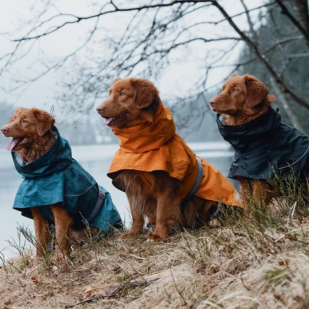 Hurtta Monsoon Hunderegenmantel, Wasserdicht Regenjacke für Hunde mit Reflektoren, Blackberry Schwar