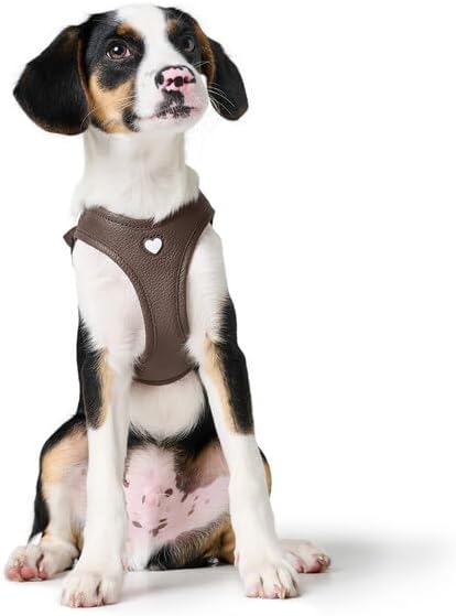 Hunter Hundegeschirr Love, Farbe: braun, weiches Rindsleder, atmungsaktive Mesh-Polsterung, Herz han