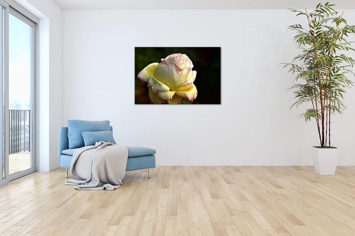Vergänglichkeit der Natur Format: 80x60 als Leinwandbild, Motiv fertig gerahmt auf Echtholzrahmen, H