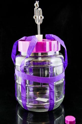chomik Glasballon 5L Multifunktions +Stopfen+Glasgährrohr Gärballon Wein Bier Machen