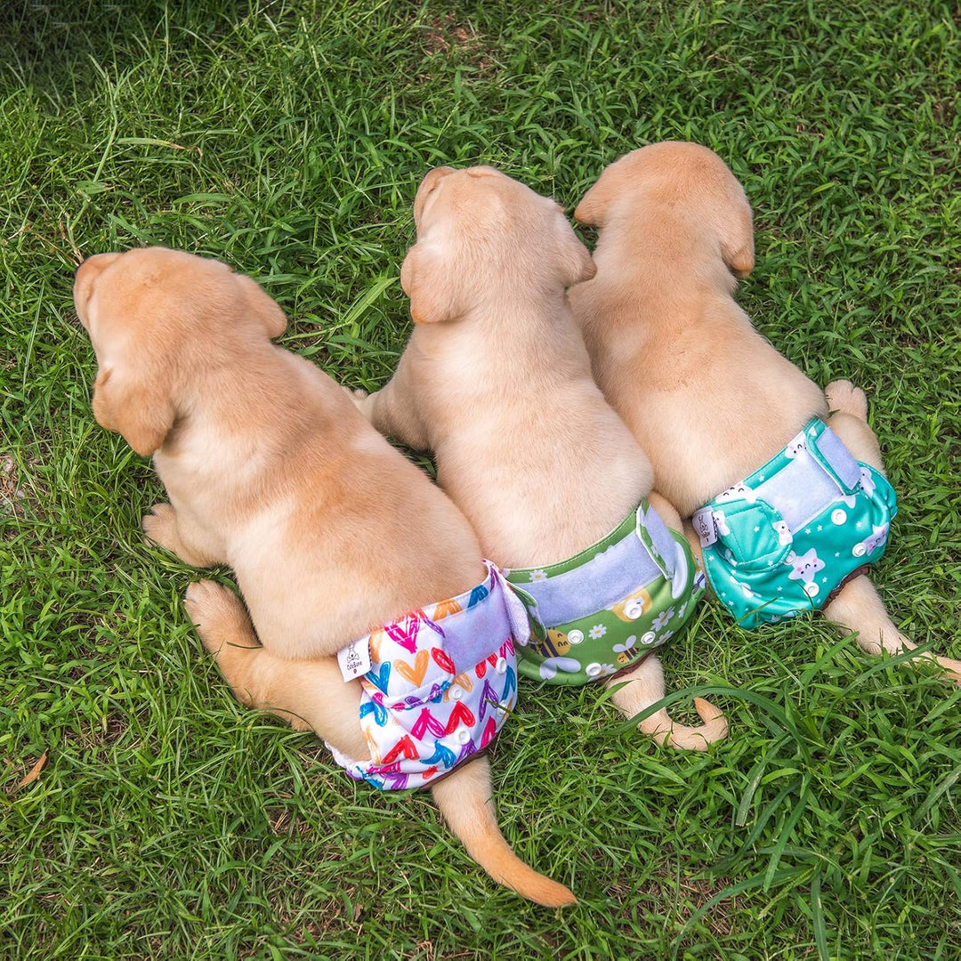 CuteBone Hundewindeln für Weibliche Welpen, Waschbar und umweltfreundliche Damenbinden Höschen für U