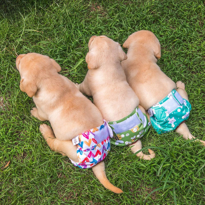 CuteBone Hundewindeln für Weibliche Welpen, Waschbar und umweltfreundliche Damenbinden Höschen für U