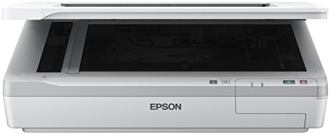 Epson DS-50000 WorkForce Flachbettscanner (DIN A3, 600x600 dpi, USB 2.0) weiss