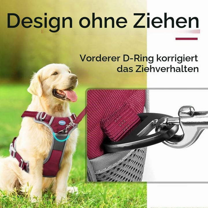 ThinkPet Anti Zug Hundegeschirr mit Griff - Verstellbar ohne Würgen, Reflektierend, Atmungsaktiv, Ge