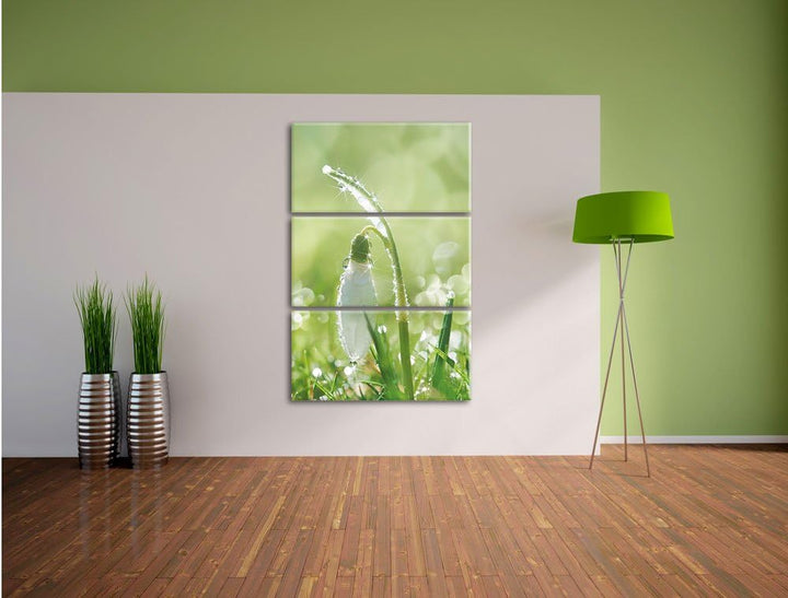 Pixxprint Schneeglöckchen auf Frühlingswiese als Leinwandbild/Grösse: 3 Teilig (120x80) cm/Wandbild/