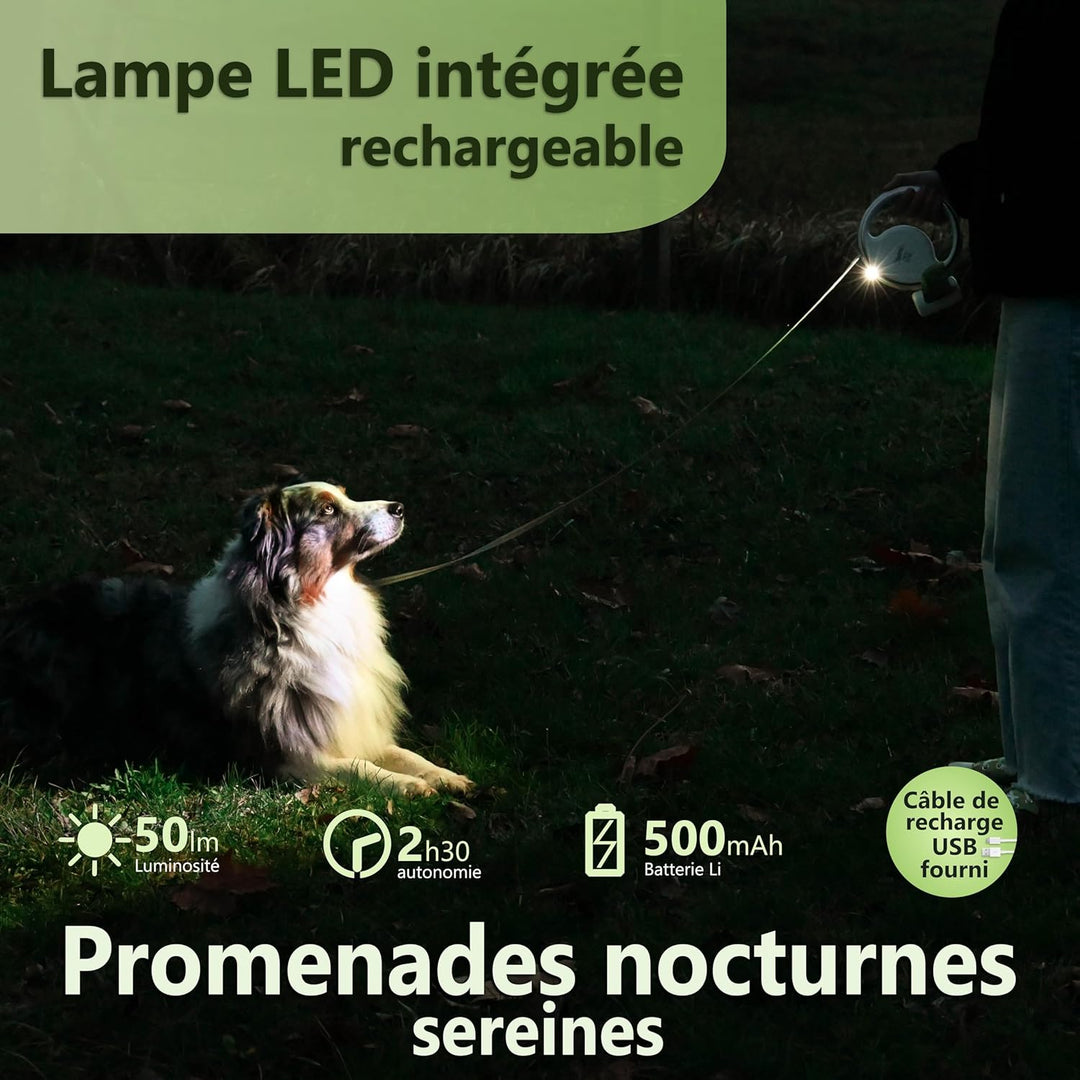 Hundeleine Rollleine 3 m LED-Lampe, einziehbare Leine, sicher, praktisch und bequem für Hunde bis 25