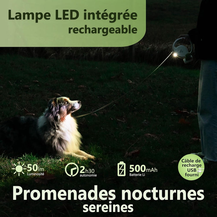Hundeleine Rollleine 3 m LED-Lampe, einziehbare Leine, sicher, praktisch und bequem für Hunde bis 25