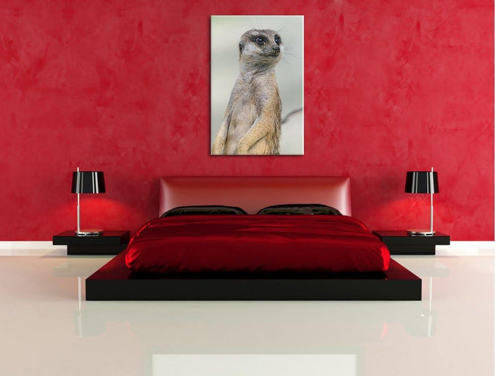Pixxprint aufmerksames Erdmännchen auf Leinwand, XXL riesige Bilder fertig gerahmt mit Keilrahmen, K