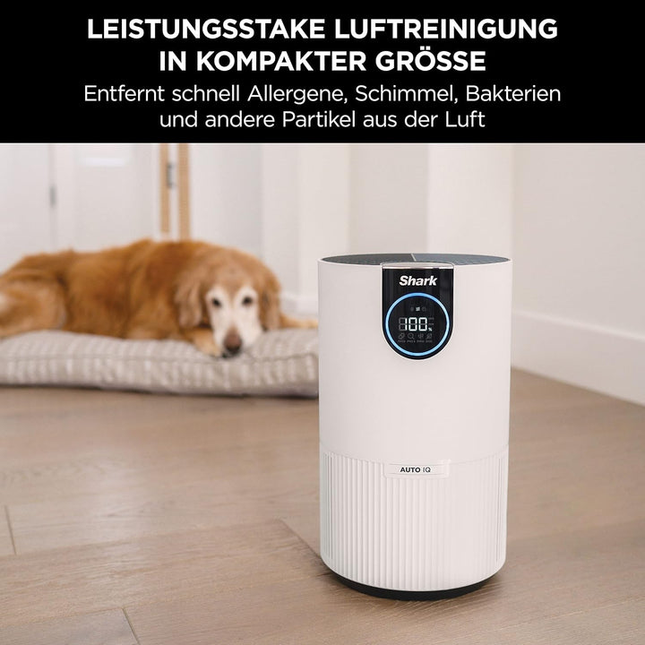 Shark Compact HEPA Luftreiniger Zuhause, HEPA-Filter, entfernt Allergene & Bakterien, Abdeckung 60m²
