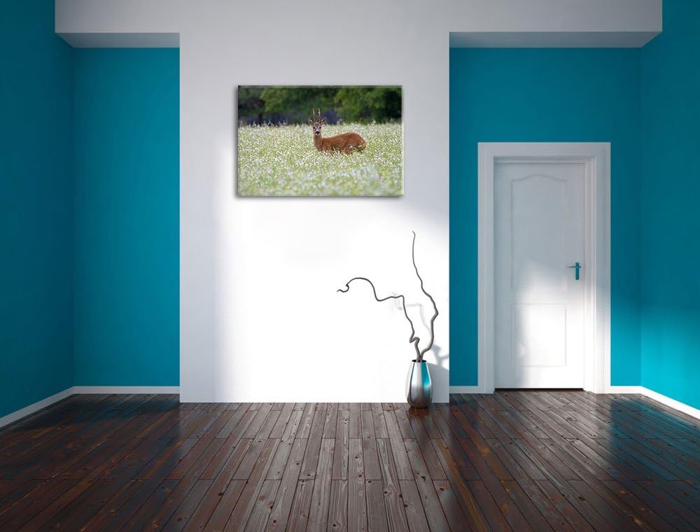 junger Hirsch auf Wildwiese Leinwand, XXL riesige Bilder fertig gerahmt mit Keilrahmen, Kunstdruck a