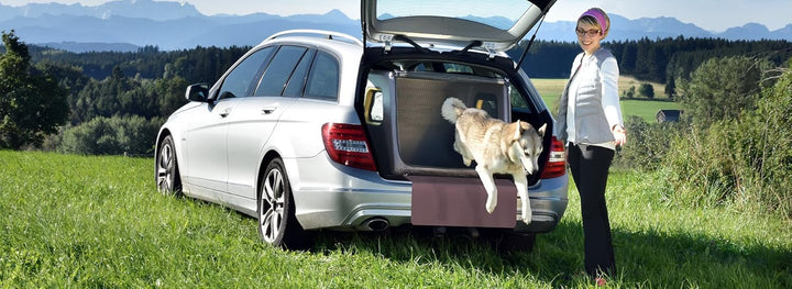 Tami - Hundetransportbox aufblasbar Tragebox Transportbox Hundebox Reisebox Autotransportbox Kofferr