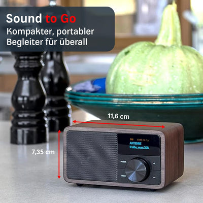 Kathrein DAB plus Radio mini I Digitalradio DAB+ u. UKW mit Bluetooth, Aux 3,5mm & Akku I kleines Kü