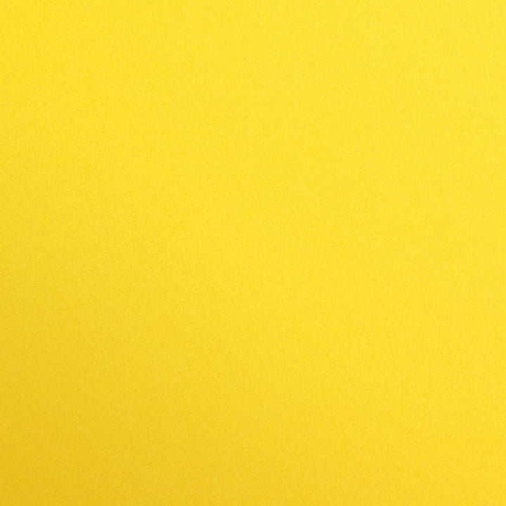 Clairefontaine 397253C Packung (mit 125 Bögen Zeichenpapier Maya, 50 x 70 cm,270g, glatt, ideal für