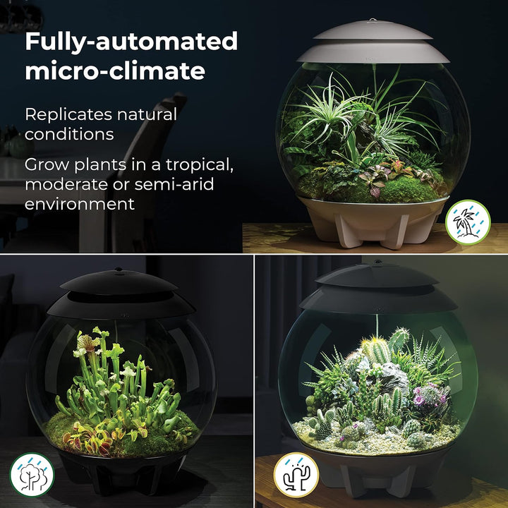 biOrb AIR 30 schwarz - Terrarium mit LED-Beleuchtung / Acryl-Becken zur Pflanzenpflege / für empfind
