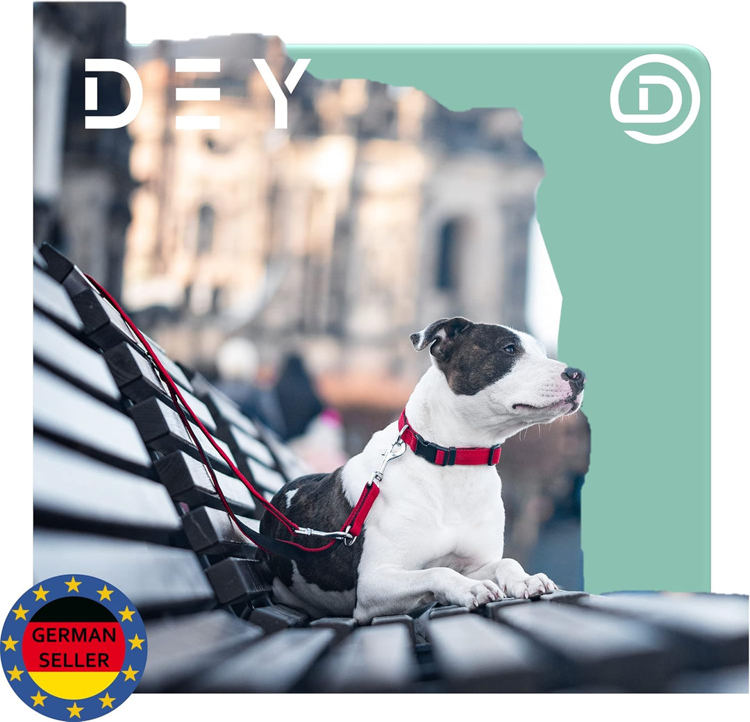 DEY - Premium Hundeleine Air Mesh 2m | 3fach Verstellbar | für Kleine, Mittelgrosse u. Grosse Hunde