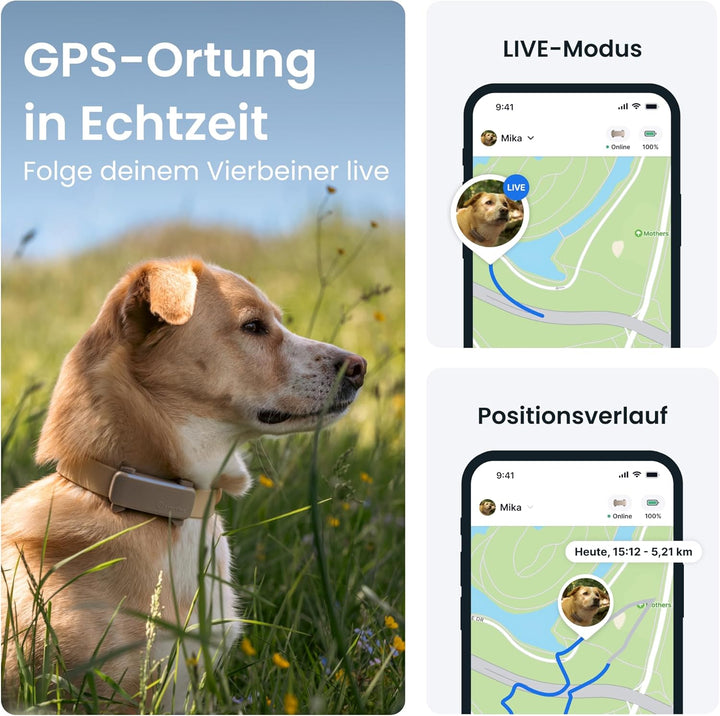 Tractive GPS Tracker Hund | 2025 Edition | Live-Ortung | Weglaufalarm | Aktivitätstracking | Gesundh