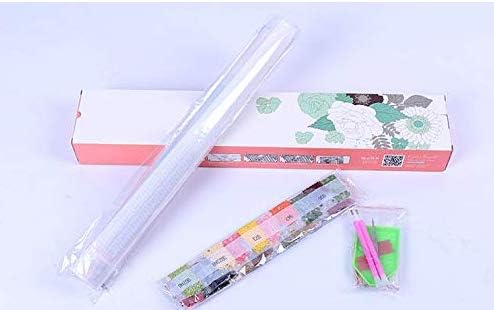 RAILONCH DIY Diamond Painting 5D Diamant Painting Set Full Drill Stickerei Gross Bilder Diamonds Mal
