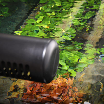 JBL PROTEMP Cooler x300, Kühlgebläse, Für Aquarien von 90 - 300 l, Süss- und Meerwasser, Farbe grau/