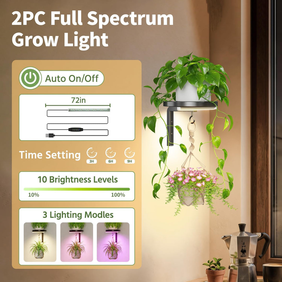 LASZOLA Blumenständer Wandmontage Pflanzenhalter Blumenregal mit Lights | 2 Stück Moderne Blumentopf