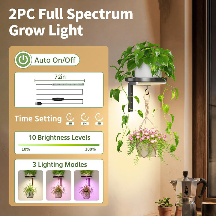 LASZOLA Blumenständer Wandmontage Pflanzenhalter Blumenregal mit Lights | 2 Stück Moderne Blumentopf