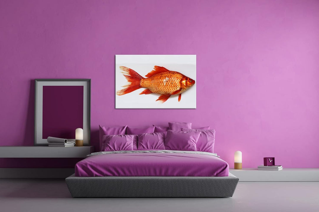 deyoli glänzender Goldfisch im Format: 80x60 als Leinwandbild, Motiv fertig gerahmt auf Echtholzrahm